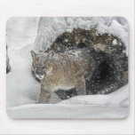 Cougar in Snow Mousepad