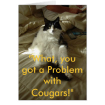 Cougar Kitty Tease cards