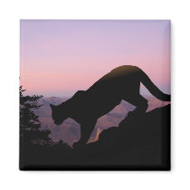 cougar magnets by wildlifeart cougar magnets