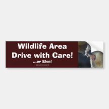 Cougar Mountain Lion Big Cat Art Bumper Stickers
