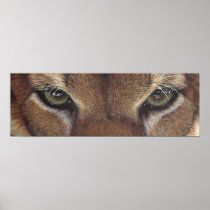 Cougar Mountain Lion Eye Poster by artbyakiko