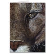 Cougar Mountain Lion Face Greeting Cards