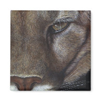 Cougar Mountain Lion Face Magnets