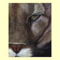 Cougar Mountain Lion Face posters