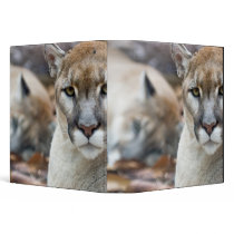 Cougar, mountain lion, Florida panther, Puma 2 Vinyl Binder