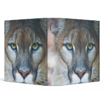 Cougar, mountain lion, Florida panther, Puma 3 Ring Binders