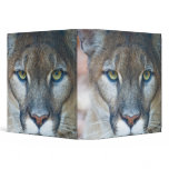 Cougar, mountain lion, Florida panther, Puma binders