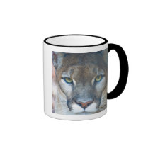 Cougar, mountain lion, Florida panther, Puma Coffee Mugs