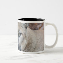 Cougar, mountain lion, Florida panther, Puma Coffee Mug