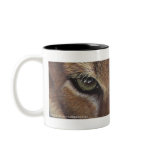 Cougar Mountain Lion mug
