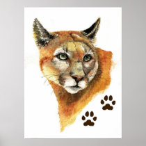 Cougar Mountain Lion Print