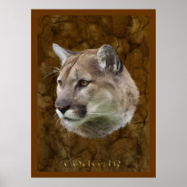COUGAR, MOUNTAIN LION, PUMA Poster
