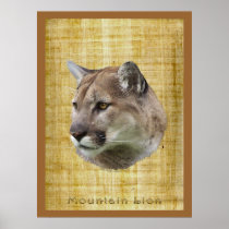 COUGAR, MOUNTAIN LION, PUMA Poster
