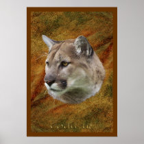 COUGAR, MOUNTAIN LION, PUMA Poster