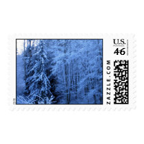 Cougar Mountain Snow postage by kcparks Cougar Mountain Snow postage