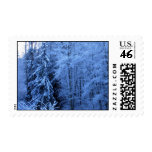 Cougar Mountain Snow Stamps