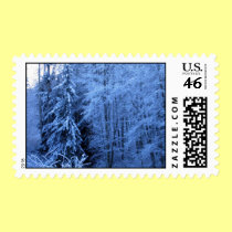 Cougar Mountain Snow stamps