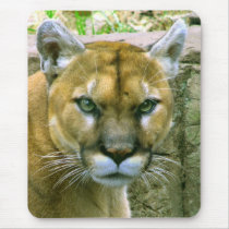 Cougar Mouse Pad