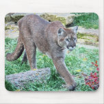 Cougar Mousepad
