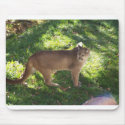 cougar mousepads