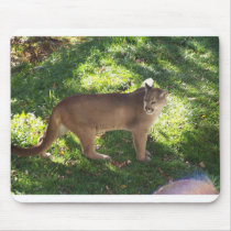 cougar mousepads