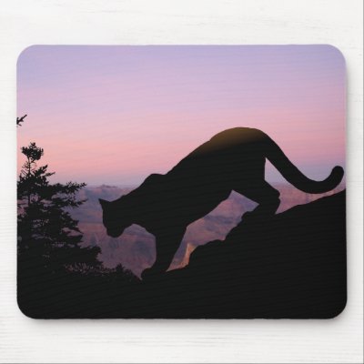 cougar mousepads by wildlifeart