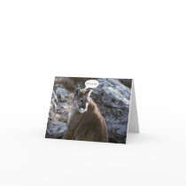 cougar note card