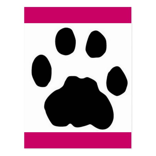 COUGAR PAW PRINT POSTCARD Zazzle