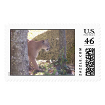 cougar postage by mark59956 cougar postage