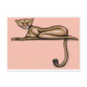 Cougar postcards
