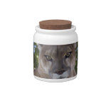 Cougar Pounce Candy Jar