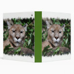 Cougar Predator Binder