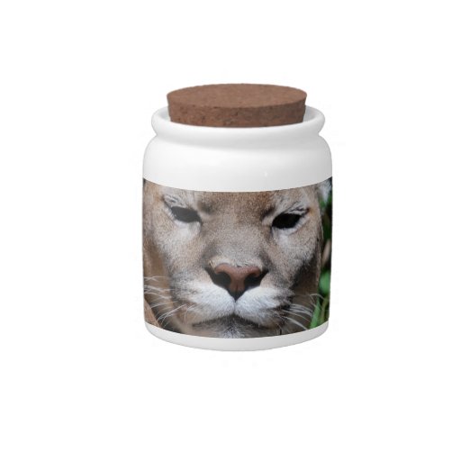 Cougar Predator Candy Jar