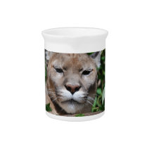 Cougar Predator Pitcher