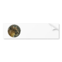 Cougar Puma Bumper Sticker