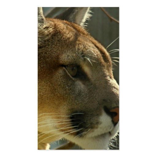 Cougar Puma Business Card (back side)