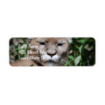 Cougar Return Address Mailing Label