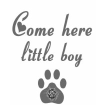 Cougar Saying: Come Here Little Boy T-shirts