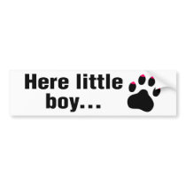 Cougar Saying: Here Little Boy Bumper Sticker