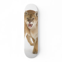 cougar skateboards
