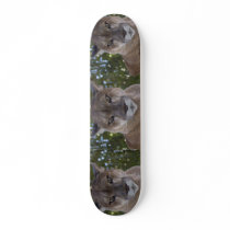 Cougar Skateboard