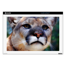 Cougar Skin For 17" Laptop