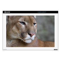 COUGAR SKIN FOR 17" LAPTOP 