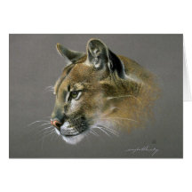 Cougar study greeting card