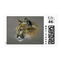 Cougar study postage