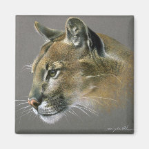 Cougar study refrigerator magnet