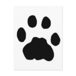 COUGAR TRACKS POSTCARD