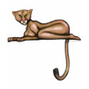 Cougar t-shirts