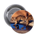 cougar twin cubs button