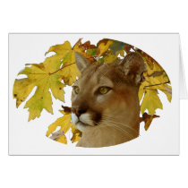 COUGAR UNDER MAPLE cards